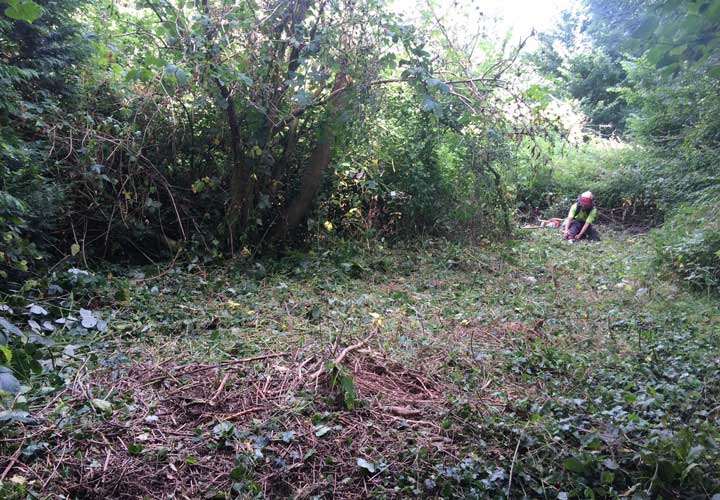Site Clearance - West Town Lane School
