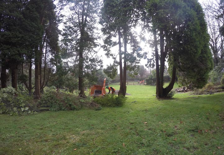 Site Clearance - Swansea, Wales