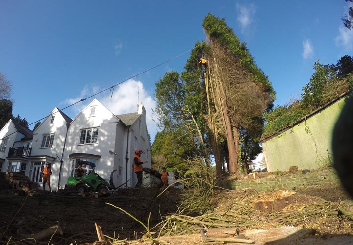 Site Clearance - Swansea, Wales