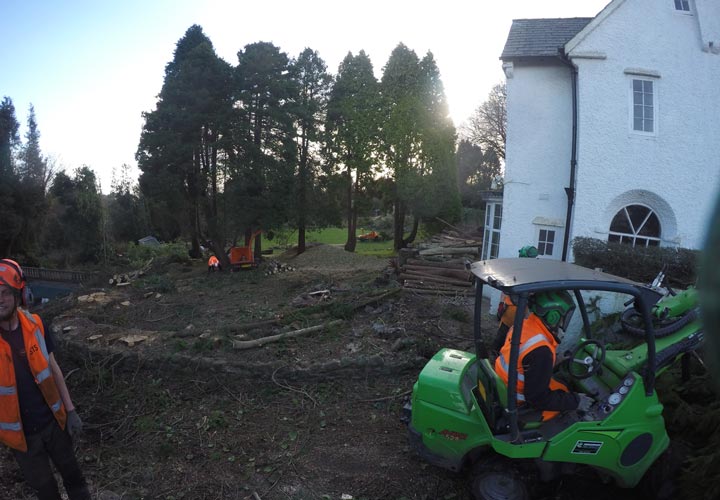 Site Clearance - Swansea, Wales
