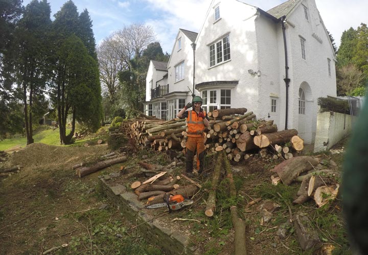 Site Clearance - Swansea, Wales