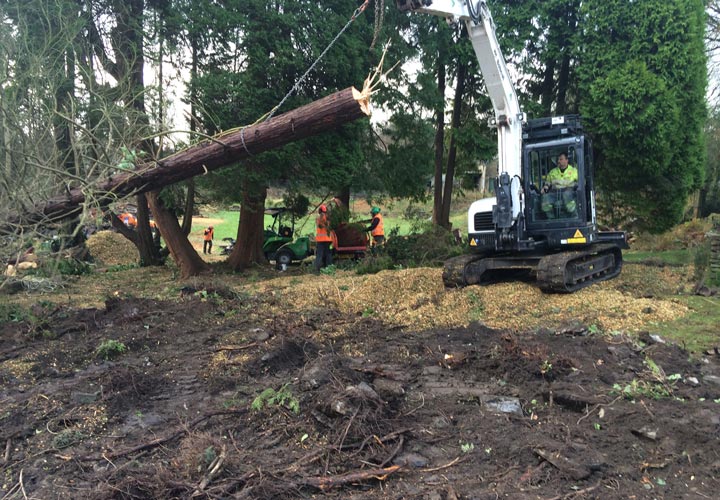 Site Clearance - Swansea, Wales