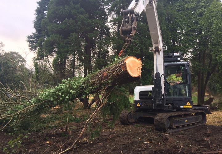 Site Clearance - Swansea, Wales