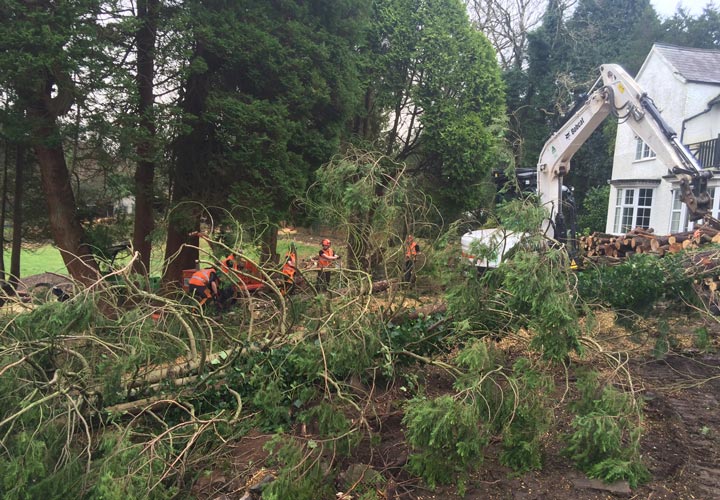 Site Clearance - Swansea, Wales