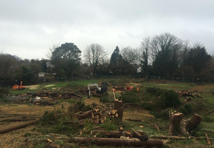 Site Clearance - Swansea, Wales