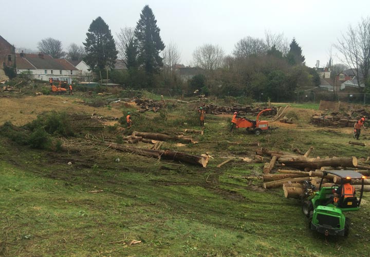 Site Clearance - Swansea, Wales
