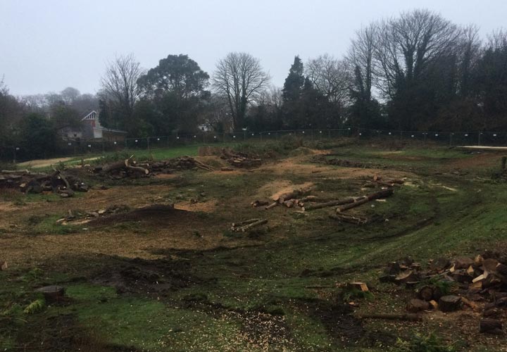 Site Clearance - Swansea, Wales