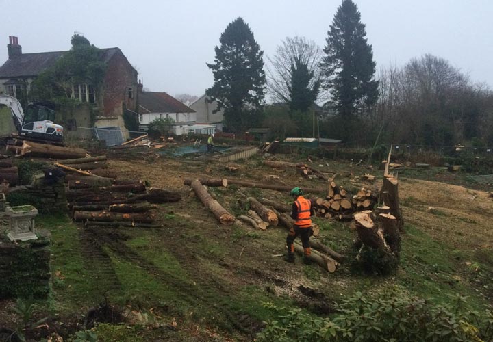Site Clearance - Swansea, Wales