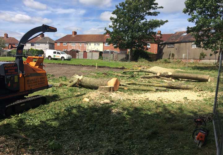 Site Clearance - Kingswood School