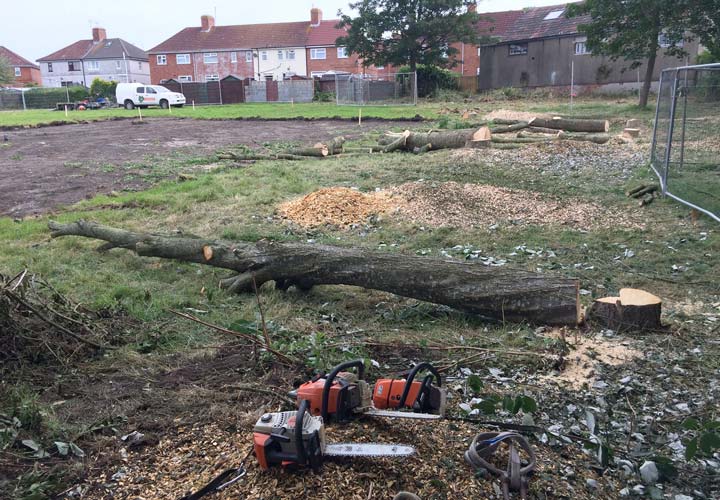 Site Clearance - Kingswood School