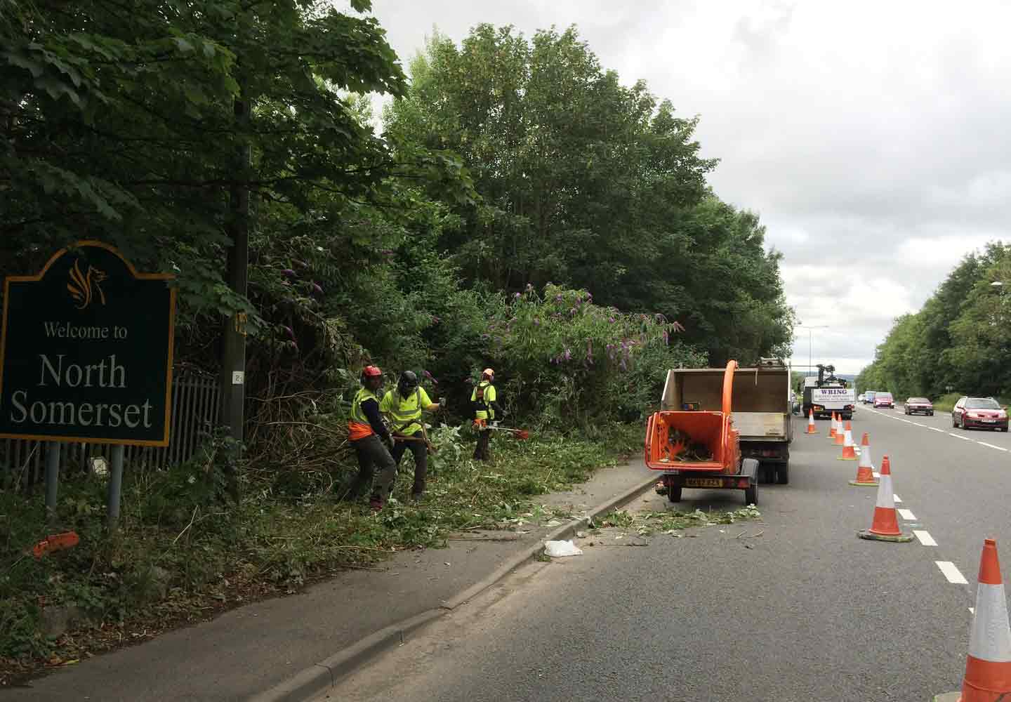 Site Clearance