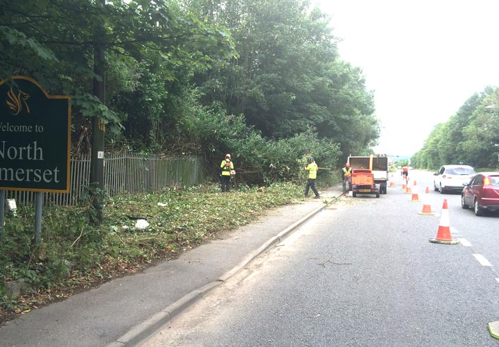 Site Clearance