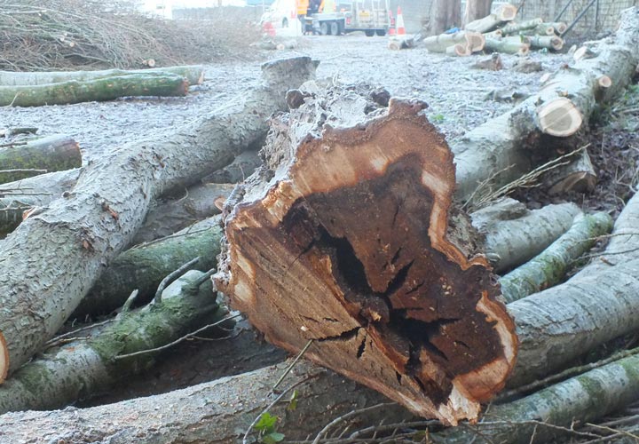 Site Clearance