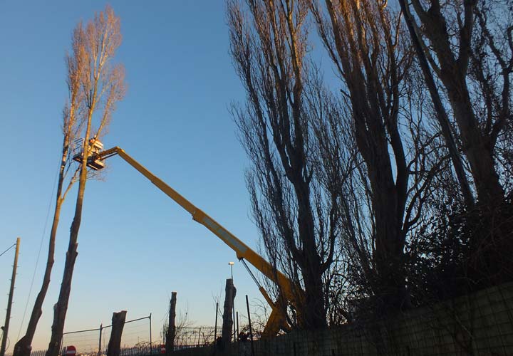 Site Clearance