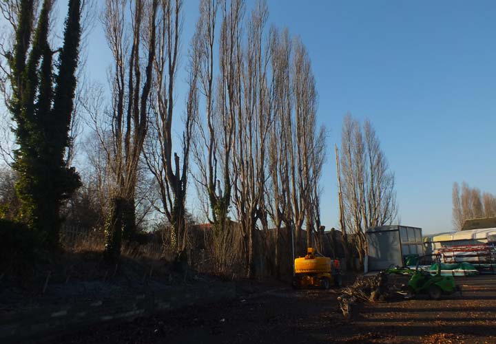 Site Clearance