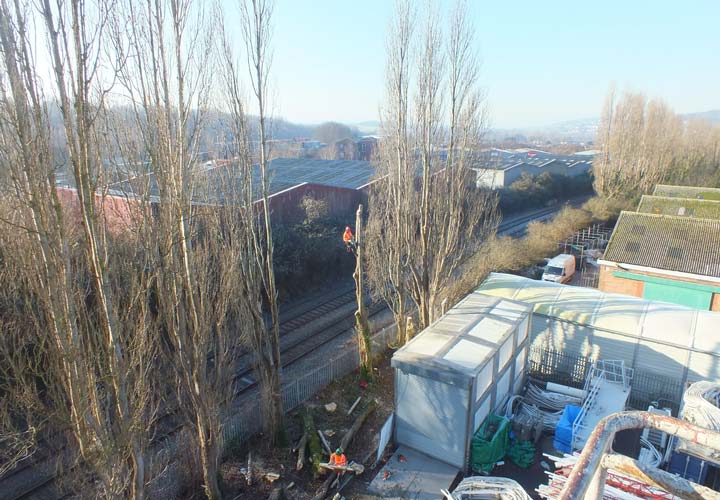 Site Clearance