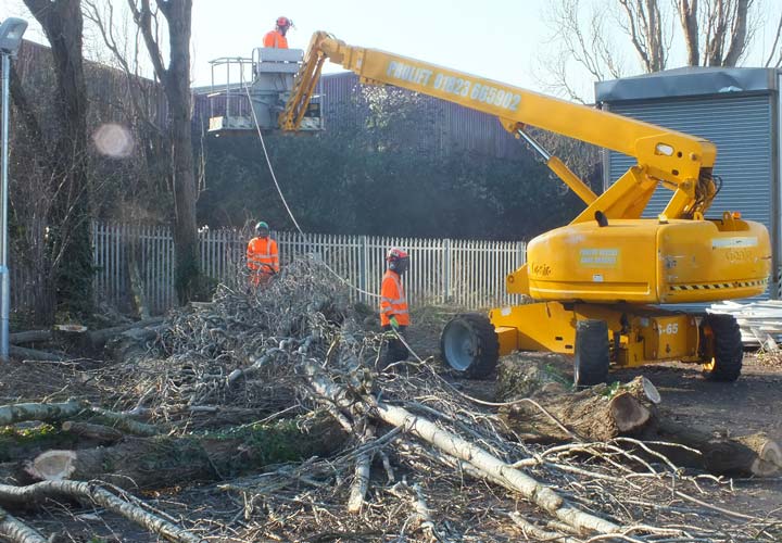 Site Clearance
