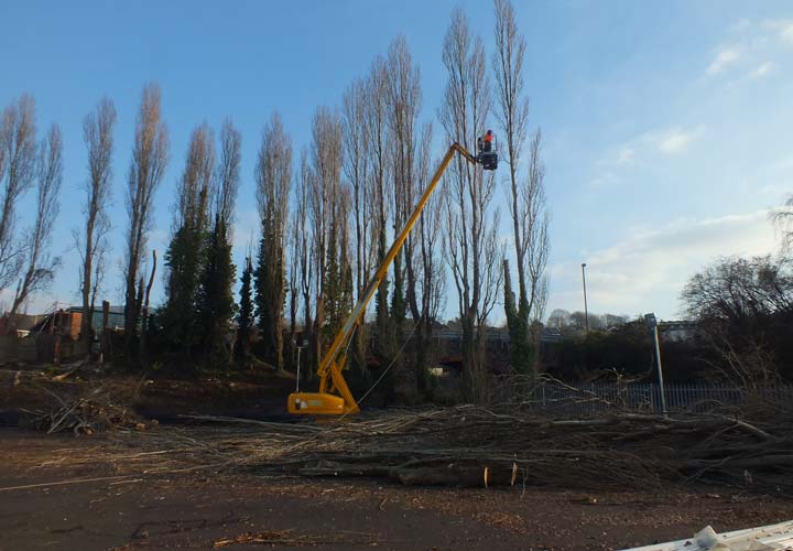 Site Clearance