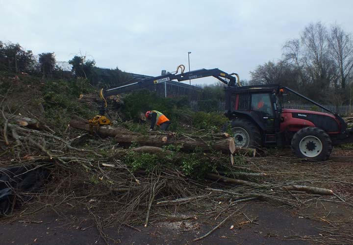 Site Clearance