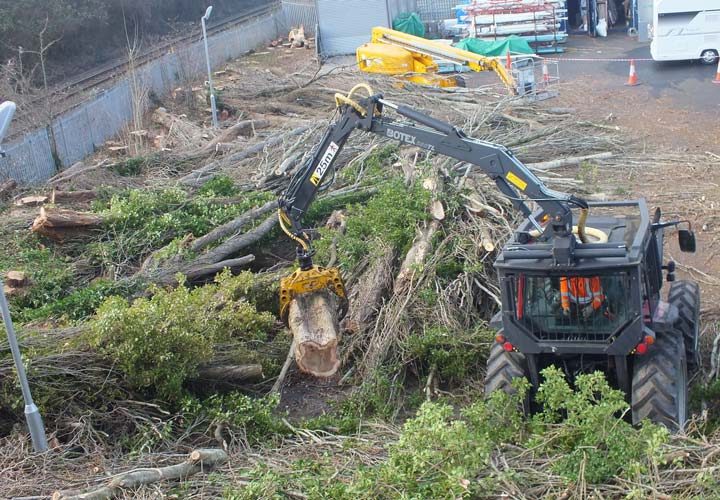 Site Clearance