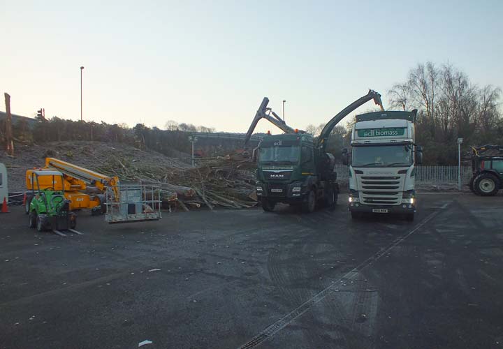 Site Clearance