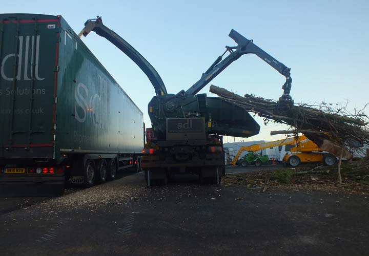 Site Clearance