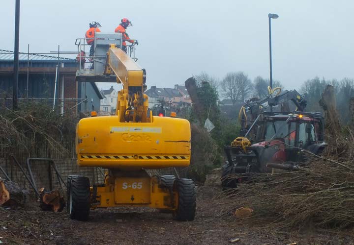 Site Clearance