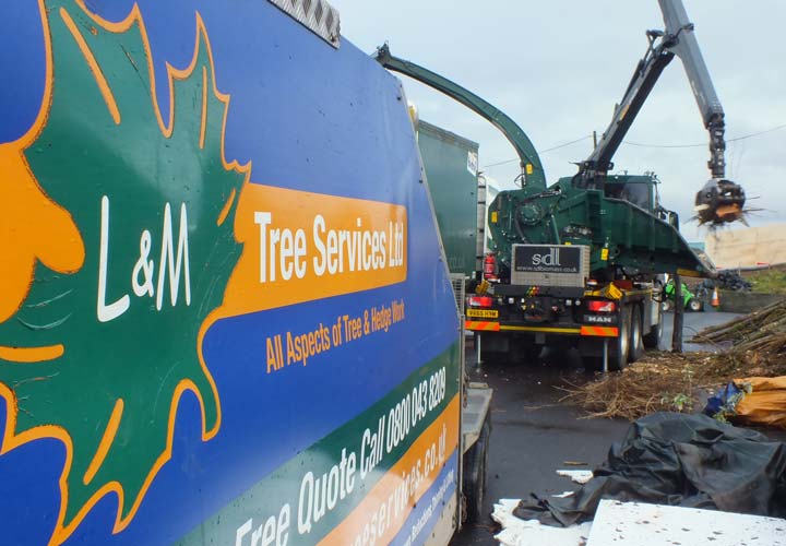 Site Clearance