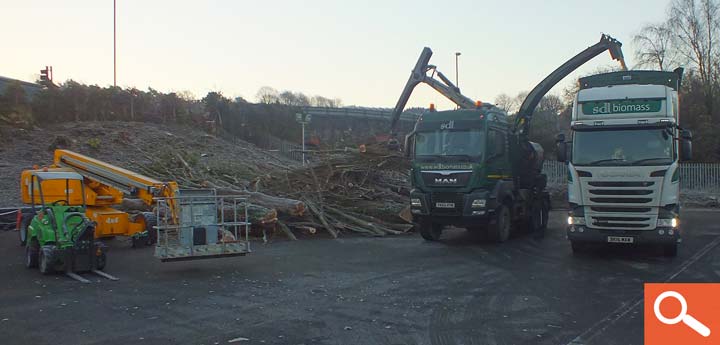 Site Clearance